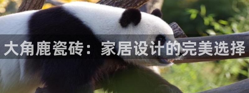 富联娱乐客户端下载官网