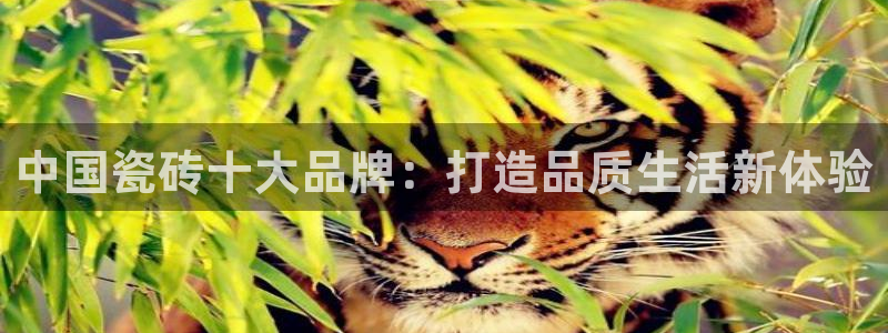 富联娱乐登录链接在哪看